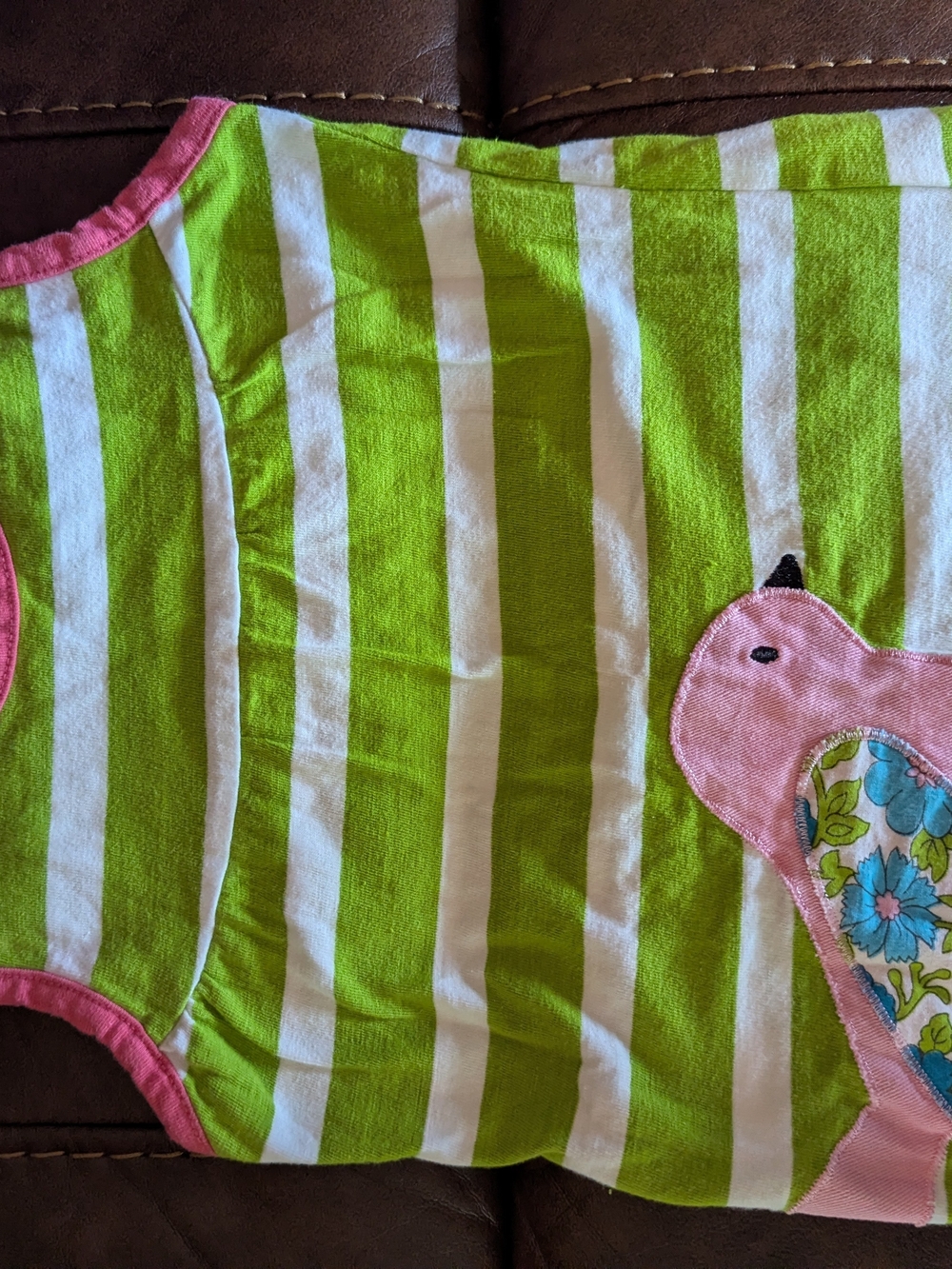Kids Sleeveless Striped Bird Dress- Green & Pink
